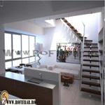 scara vang central (60)